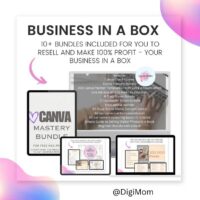 Business In A Box